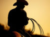 Even Cowboys/Girls can Be Healthy Healthy Cowboy