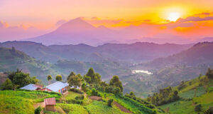 11 Things You Have to Do When You Visit Uganda Uganda The Pearl of Africa