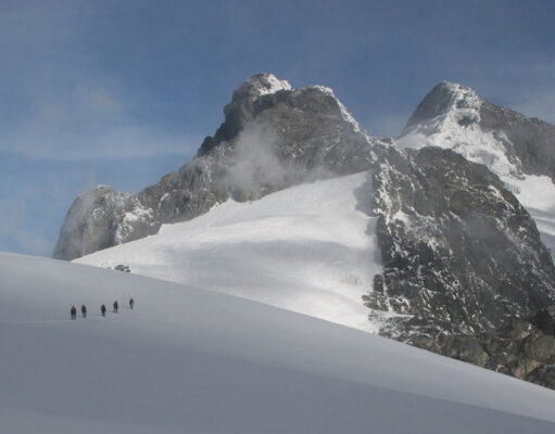 Tips for Excellent Rwenzori Hiking Safari Rwenzori Trek