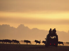 Best 5 Countries to Visit for a Safari Africa Safari