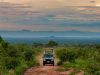 Self-Drive Vs Guided Tours In East Africa East Africa Parks